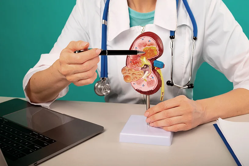 nefrologia